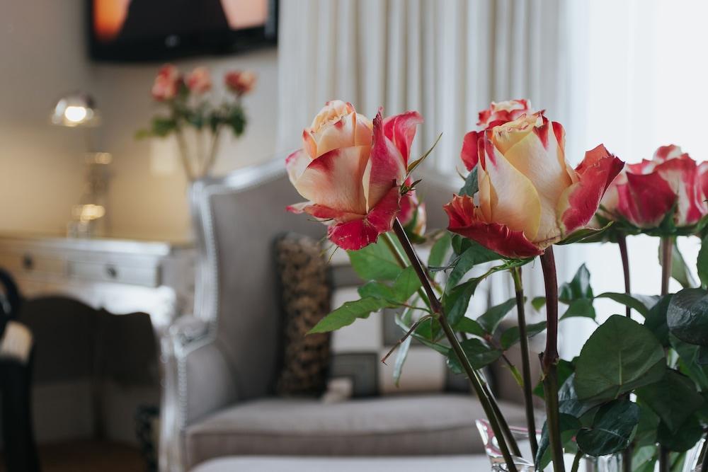 The Light House Boutique Suites Paarl Eksteriør billede