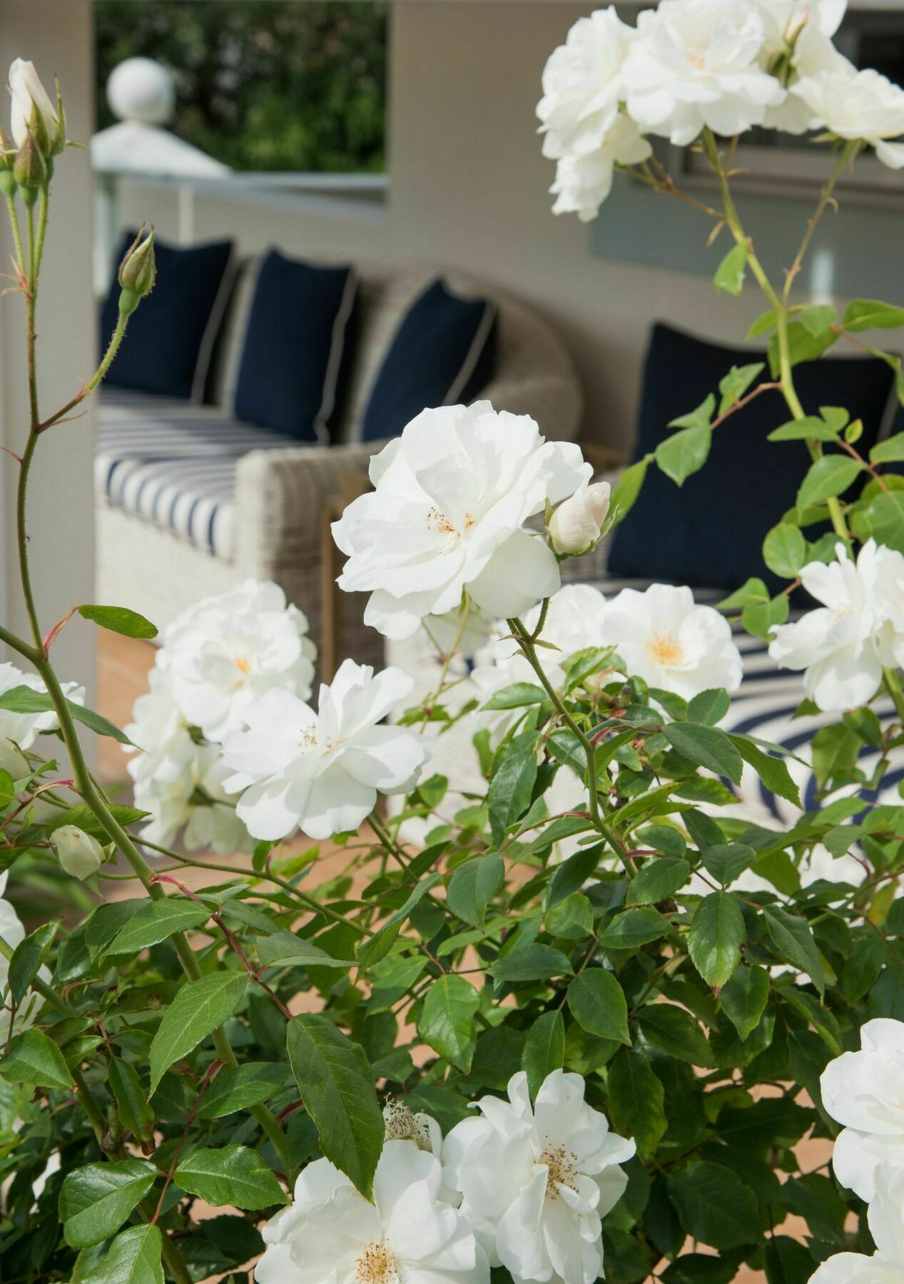 The Light House Boutique Suites Paarl Eksteriør billede